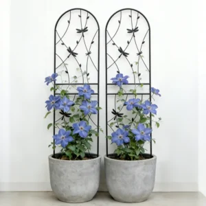 2-Piece Rustproof Metal Garden Trellis