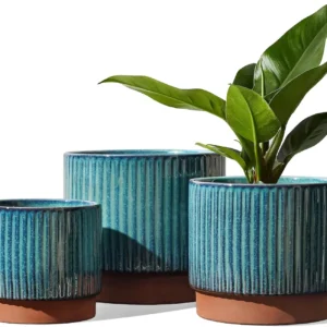 Set of 3 Ceramic Plant Pots with Drainage Holes